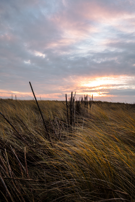 Texel (c) Ina Herzig